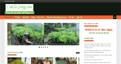 Desktop Screenshot of caosugiong.com
